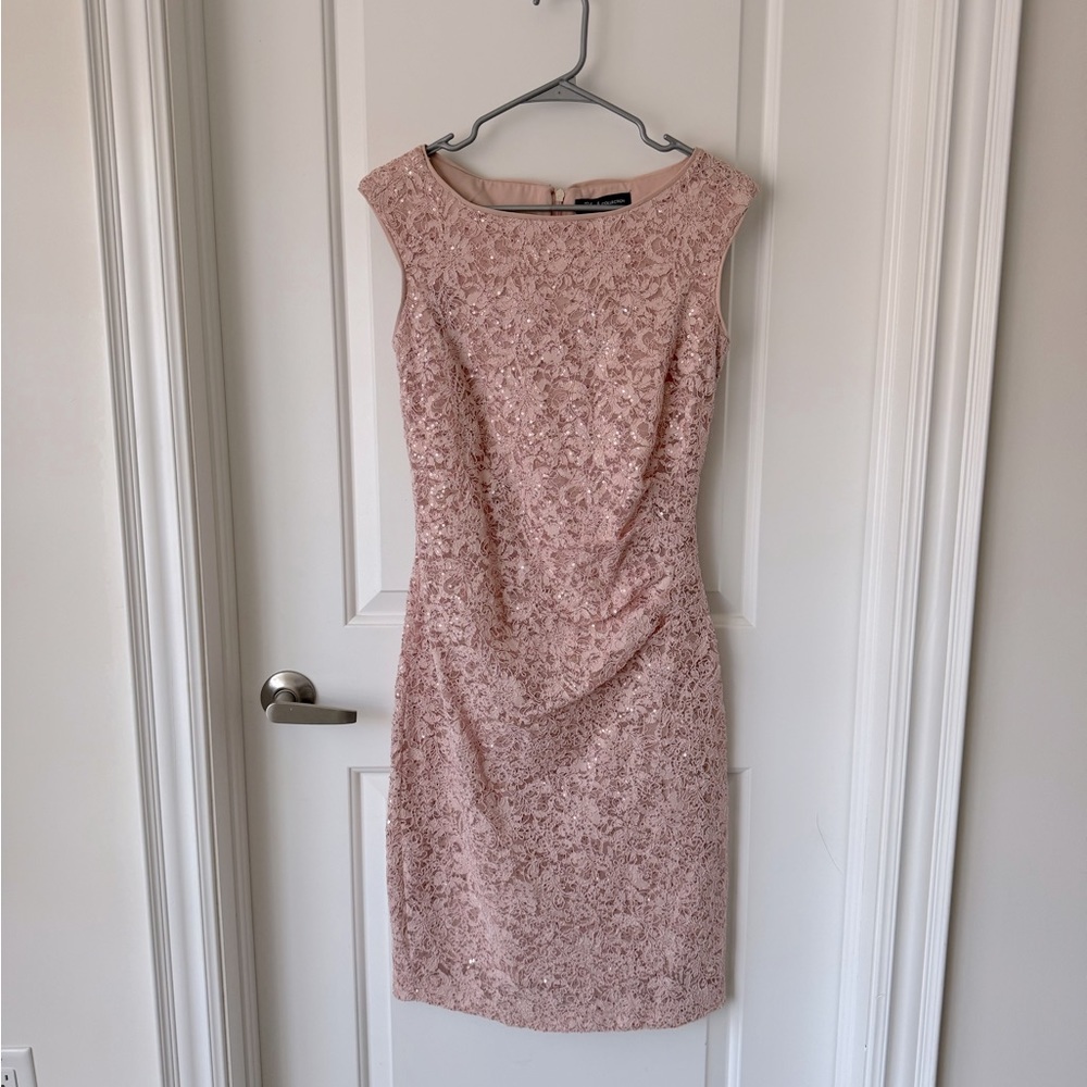 Cap Sleeve sequin lace dress. Blush pink with tons of stretch! Size S